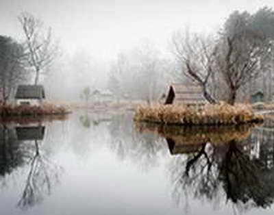 Стало известно, кого чаще кусают клещи