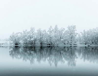 Легковушка упала с моста в воду в Пензенской области