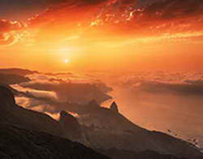 На выставку на Поклонной горе доставили трофейную американскую бронемашину M88А1