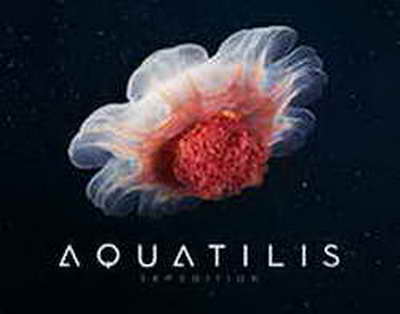 Венесуэла прекратила загружать нефть на танкеры